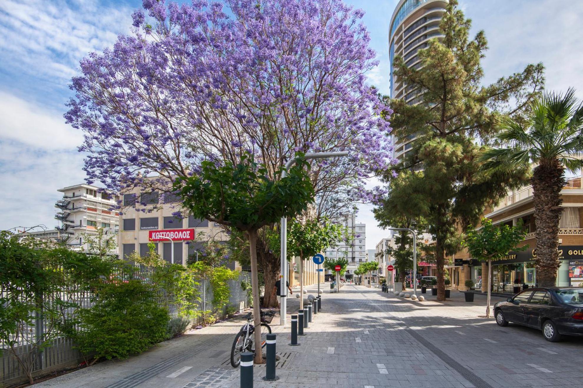 ניקוסיה Urban Condo 10 - 2 Bdr מראה חיצוני תמונה